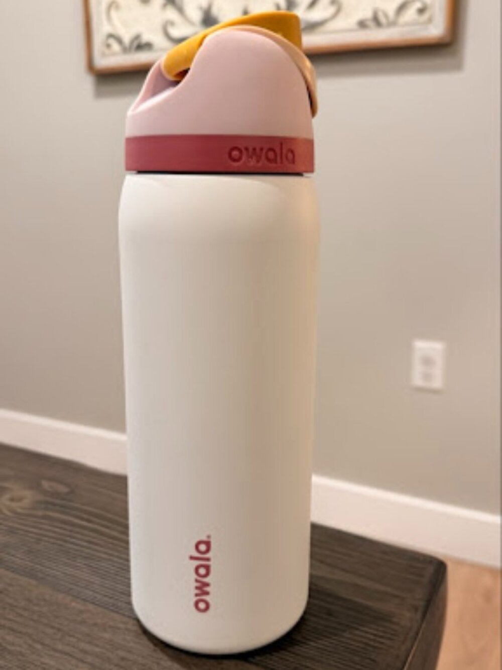 Owala FreeSip Insulated Stainless Steel Water Bottle 32oz